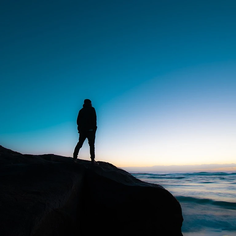 Understanding the Role of a Volunteer Coordinator