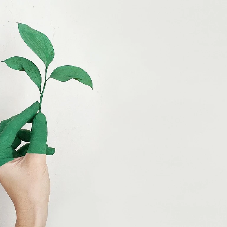 Understanding the Average Severance Package: What You Need to Know