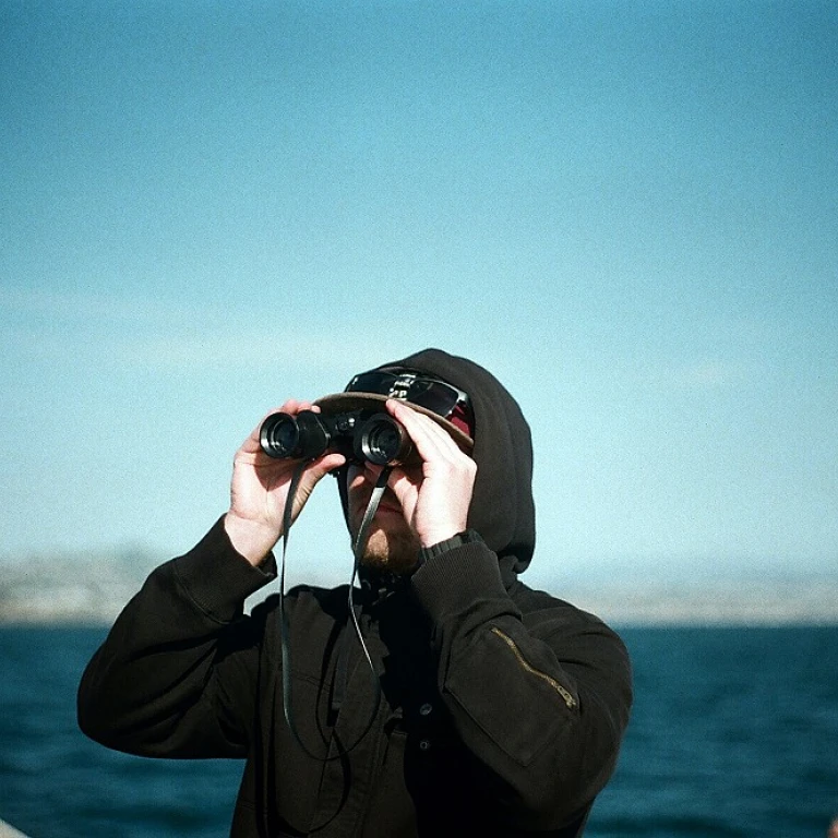 Exploring Effective Case Studies for Implementing Technology Review Systems